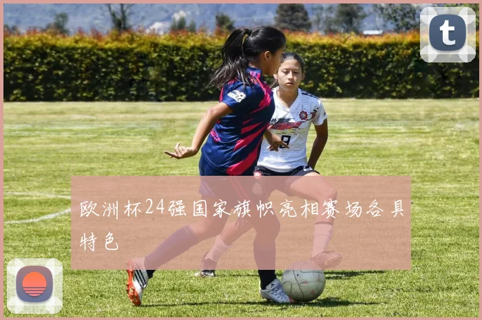 欧洲杯24强国家旗帜亮相赛场各具特色