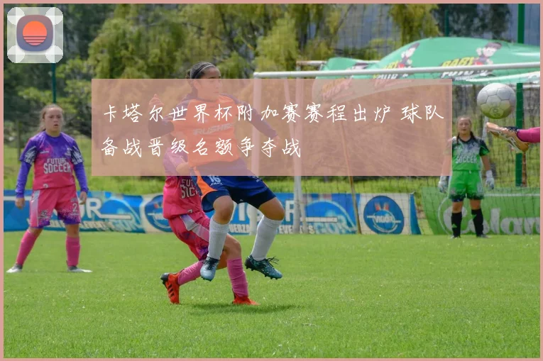 卡塔尔世界杯附加赛赛程出炉 球队备战晋级名额争夺战